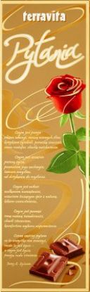 Obrazek Terravita czekolada Pytania 225g 