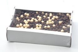 Obrazek Galia chrupki  Mleczno-czekoladowe KARTON  1,50kg